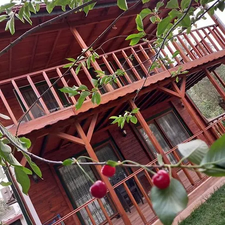 Casa vacanze Gullu
